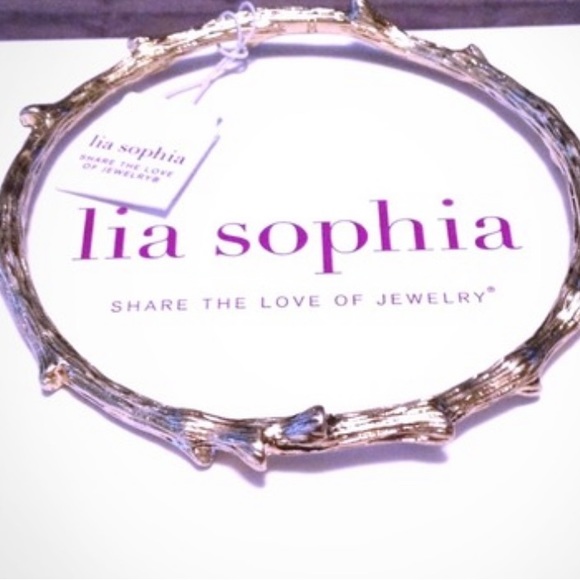 NWT Lia Sophia Out on a Limb Bangle Bracelet. Size Medium. - Picture 3 of 4